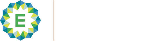 Express Solutions Group